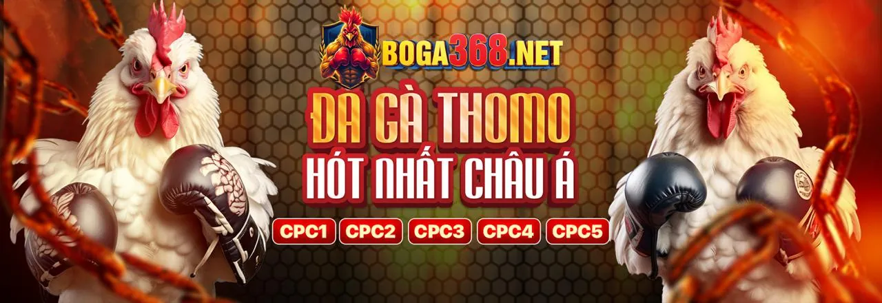 Tải ứng dụng 188v00 trên điện thoại